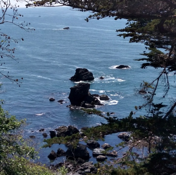 Meet your Posher, Kareen - Picture 1 of 1